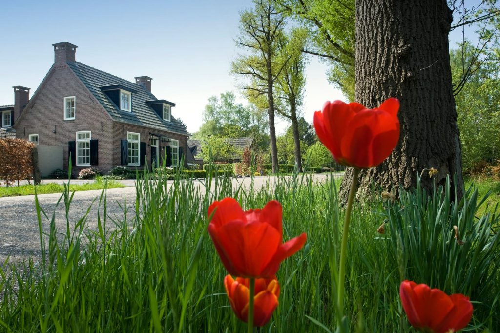 Walking dinner of zittend diner: dit bepaalt de juiste keuze voor uw zakelijke bijeenkomst