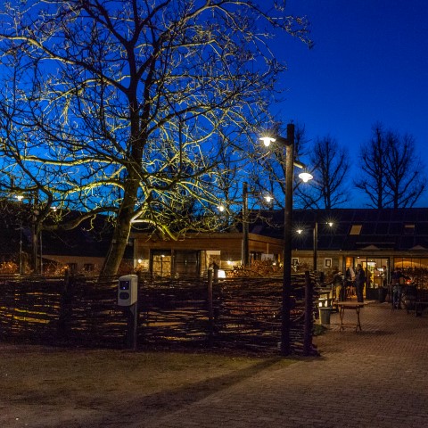 Training kleinschalige locatie: Wat gaat er mis tussen 13.00 en 15.00 uur op een trainingsdag?